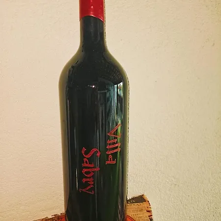 Sabry ホームステイ