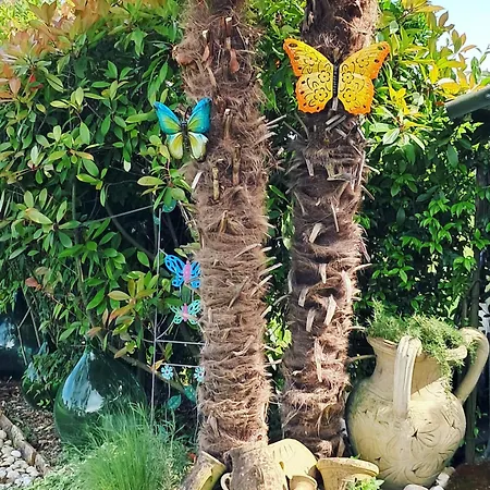 Séjour chez l'habitant Sabry Turriaco